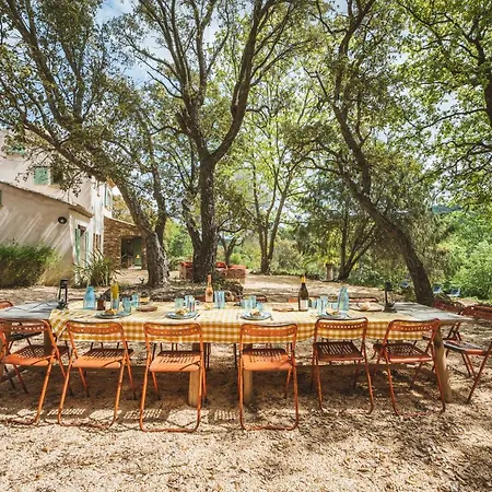 Unique A : 1,5 Ha, 4 : La Campagne Au Coeur De St Tropez *